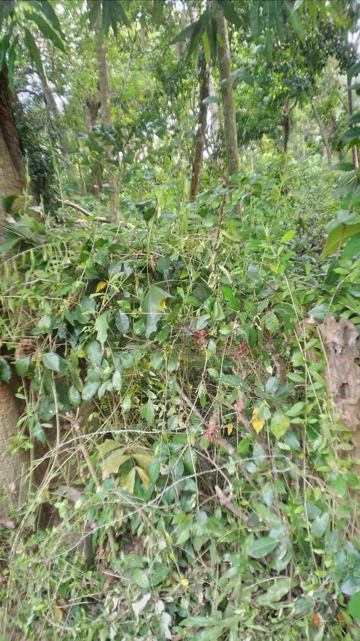 Land For Sale In Devinuwara