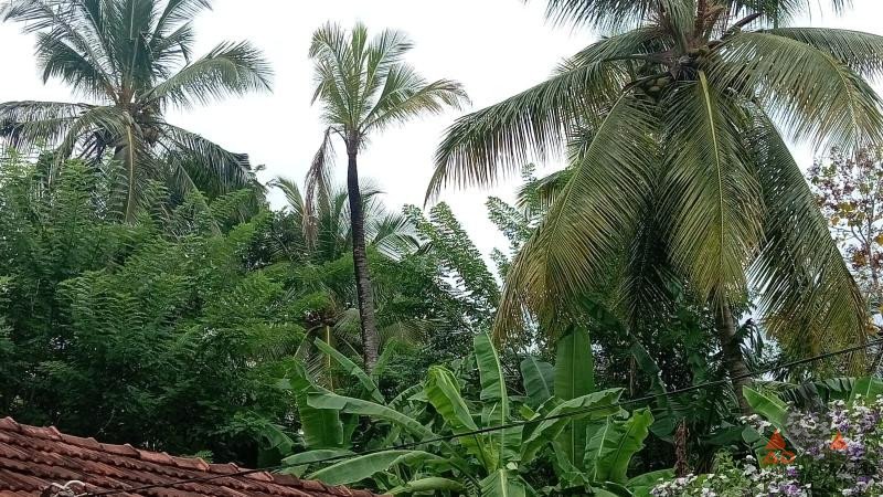 House For Sale In Mawathagama